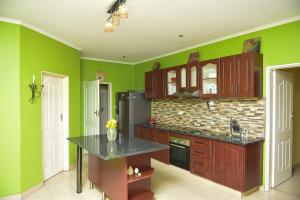 een keuken met groene muren en een aanrecht bij AZB Cozy Homes. Elegant 4 bedroom home in Area 49, Lilongwe in Lilongwe