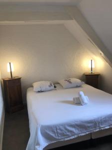 1 dormitorio con 1 cama blanca y 2 almohadas en Suites Residences Spa, en Colmar