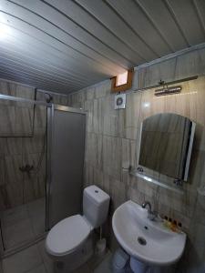 La salle de bains est pourvue de toilettes, d'un lavabo et d'un miroir. dans l'établissement ULAŞ CAVE HOTEL, à Ürgüp