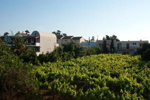 a field of plants with buildings in the background at Casa Maria Hotel Apts in Platanias