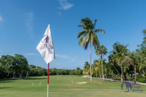 a flag on a golf course with palm trees at Chac Hal, Beachfront Apartment with Amenities - Chac Hal 2 in Puerto Aventuras
