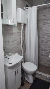 bagno con servizi igienici bianchi e lavandino di Airport Apartment AIR a Surčin