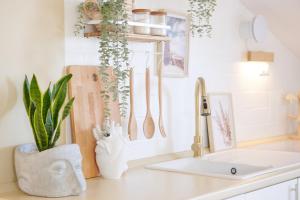 encimera de cocina con plantas y fregadero en Design Sea Apartment -BOHO SUITE- Abruzzo en Francavilla al Mare