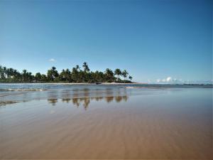 a view of a beach with palm trees and the water at Casa temporada na praia Joia do Atlântico - Ilhéus - Ba in Ilhéus