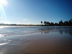 a sandy beach with palm trees and the ocean at Casa temporada na praia Joia do Atlântico - Ilhéus - Ba in Ilhéus