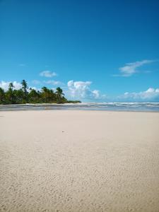 an empty beach with palm trees in the background at Casa temporada na praia Joia do Atlântico - Ilhéus - Ba in Ilhéus