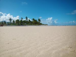 a sandy beach with palm trees in the distance at Casa temporada na praia Joia do Atlântico - Ilhéus - Ba in Ilhéus