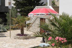 Zahrada ubytování Apartments with parking spaces Novalja, Pag - 6524