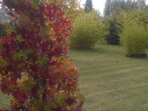 Vonkajšia záhrada v ubytovaní Gîte familial près de la Loire avec grand jardin, parking privé, proche Saumur et activités nautiques - FR-1-622-40