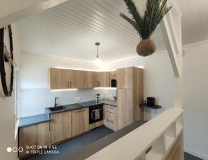 a kitchen with wooden cabinets and a potted plant at Maison des Pommiers - Bord de mer et campagne in Port-en-Bessin-Huppain