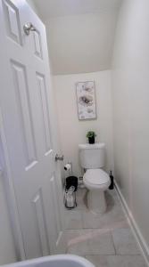 a white bathroom with a toilet with a plant at GREAT 2 bedroom Condo,FREE parking,easy commute. in Irvington