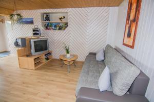 ein Wohnzimmer mit einem Sofa und einem TV in der Unterkunft Ferienwohnung Lerch in Bregenz