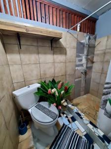 a bathroom with a toilet with a plant on it at Hiaai in Haapu