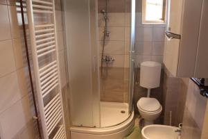 a bathroom with a shower and a toilet and a sink at Apartments with WiFi Daruvar, Bjelovarska - 17093 in Daruvar