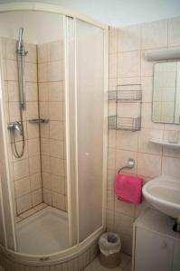 y baño con ducha y lavamanos. en Apartments and rooms by the sea Molunat, Dubrovnik - 17143 en Gruda