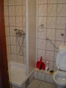 a bathroom with a shower and a toilet at Apartments by the sea Prizna, Senj - 17309 in Senj