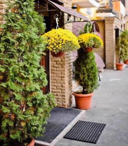 a group of potted plants on the side of a building at Khreschatyk Suites in Kyiv