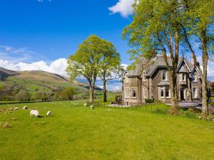 a herd of sheep grazing in a field in front of a house at Oakdene Country House in Sedbergh