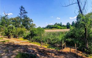 a view of a field with trees and grass at Cozy Home In Wilczyce in Wilczyce +11 photos