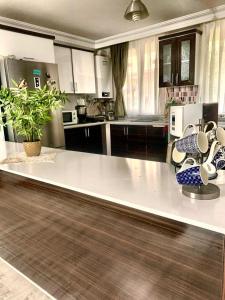 una cocina con una gran encimera blanca en una habitación en Forest villa- 5 minutes from the airport, en Arnavutköy