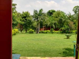 une vue sur un champ d'herbe planté d'arbres dans l'établissement Ranakpur Nature Retreat, à Sādri