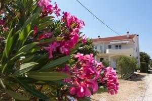Zahrada ubytování Apartments by the sea Petrcane, Zadar - 17342 + 10 fotografií