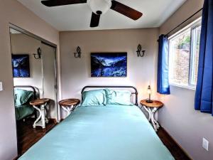 Lova arba lovos apgyvendinimo įstaigoje The Luminous Lodge-Remodeled Cabin W/ Valley Views