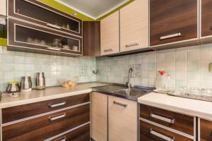 uma cozinha com armários de madeira e um lavatório em Apartments with a parking space Skrljevo, Rijeka - 17116 em Škrljevo