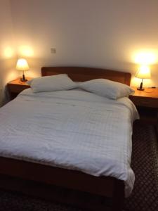 a bedroom with a bed with two lamps on two tables at Apartments with a parking space Brela, Makarska - 17371 in Brela