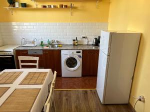 a kitchen with a refrigerator and a washing machine at Oleander Rooms & Apartment in Sofia