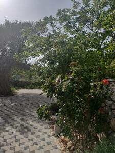 Vonkajšia záhrada v ubytovaní Apartments with a parking space Vinisce, Trogir - 17062