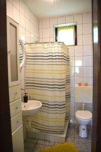 y baño con ducha, lavabo y aseo. en Family friendly house with a swimming pool Nova Kapela, Slavonija - 17313, en Nova Kapela