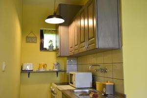 Η κουζίνα ή μικρή κουζίνα στο Family friendly house with a swimming pool Nova Kapela, Slavonija - 17313