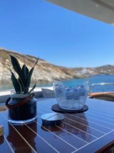 Photo de la galerie de l'établissement Falcon superyacht 100ft, à Athènes