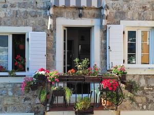 Zahrada ubytování Guesthouse Bogdanovic