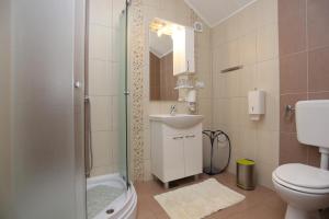 a bathroom with a shower and a sink and a toilet at Apartments and rooms with parking space Donje Taboriste, Plitvice - 17486 in Slunj