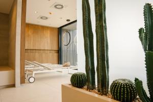 un hall avec des cactus dans un bâtiment dans l'établissement LOOM Hotel & Skybar, à Eislingen/Fils