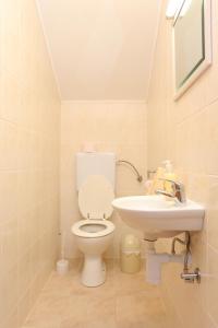 uma casa de banho com um WC e um lavatório em Apartments with a parking space Donje Taboriste, Plitvice - 17527 em Slunj