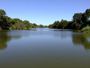 un grande lago con alberi sullo sfondo di Mkolo Hunting and Wildlife 