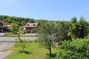an aerial view of a house with a tree at Rooms with a parking space Grabovac, Plitvice - 17419 in Rakovica