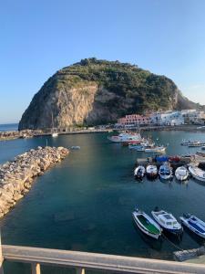 Um monte de barcos estão ancorados num porto. em Suite Capri em Ischia