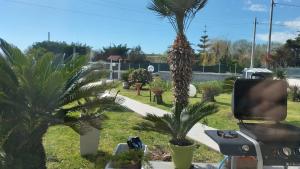 a bbq grill and palm trees in a park at Villa Sibilla in Bacoli