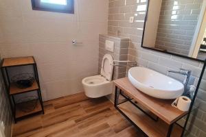 a bathroom with a white toilet and a sink at Holiday house with a parking space Pitve, Hvar - 17397 in Jelsa