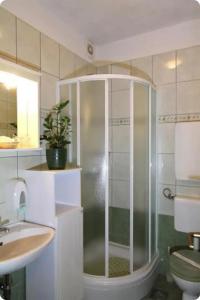 ein Bad mit einer Dusche, einem WC und einem Waschbecken in der Unterkunft Apartments by the sea Lopud, Elafiti - 17200 in Lopud Island