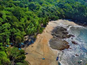 an aerial view of a beach with trees and water at Green Sanctuary Hotel in Nosara