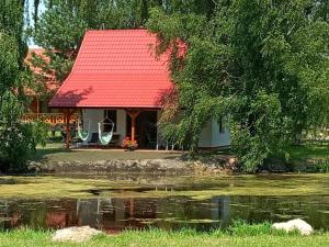 a house with a red roof next to a pond at Domek nad jeziorem z banią in Giżycko