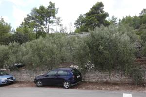 Fotografie z fotogalerie ubytování Seaside holiday house Prigradica, Korcula - 18002 v destinaci Blato