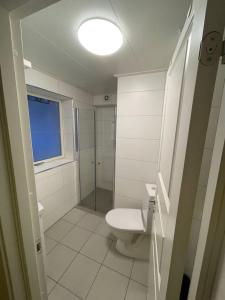 een witte badkamer met een toilet en een raam bij Waterfront Senja 2 in Torsken