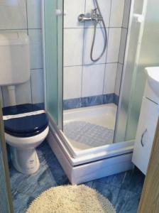 a small bathroom with a toilet and a shower at Family friendly seaside apartments Krapanj, Sibenik - 18004 in Šibenik