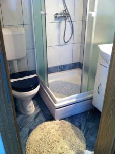 ein Bad mit einer Dusche, einem WC und einem Waschbecken in der Unterkunft Family friendly seaside apartments Krapanj, Sibenik - 18004 in Šibenik